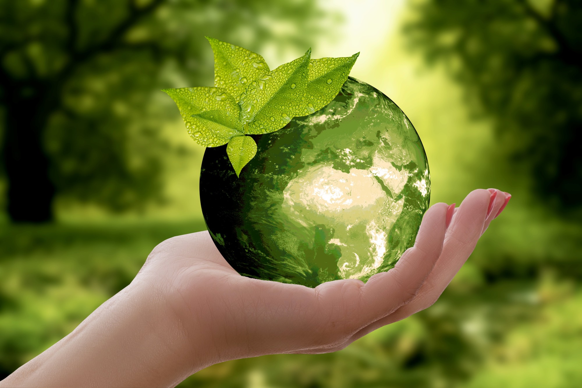 save the environment 101